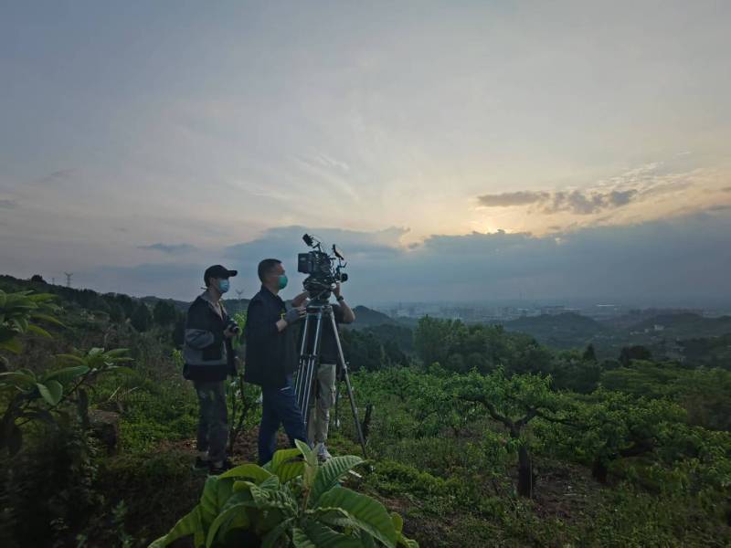 创意破圈！卫东区电商产品宣传视频用故事化叙事引爆流量