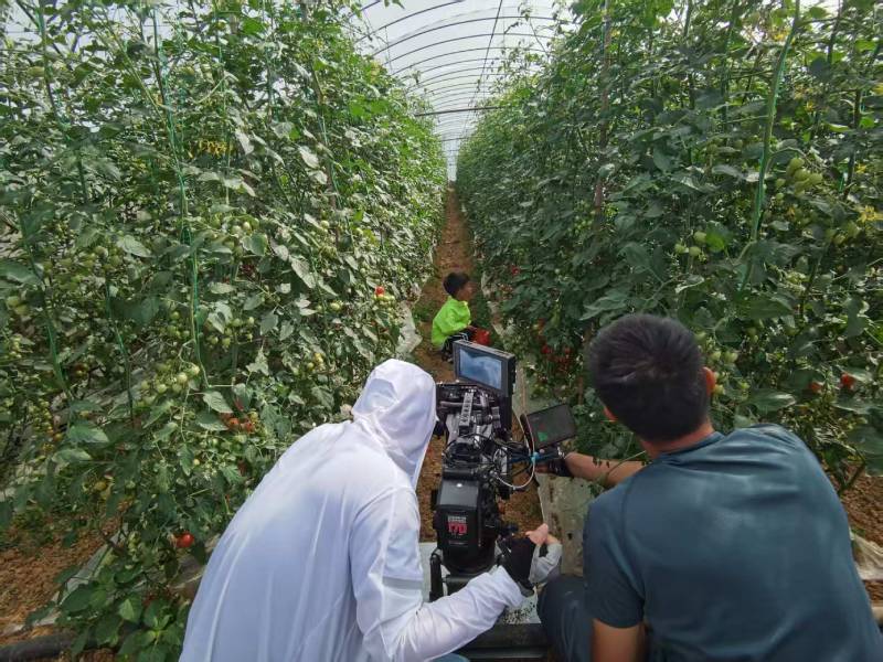 卫东区产品宣传视频拍摄公司进阶指南，助力品牌抢占传播高地